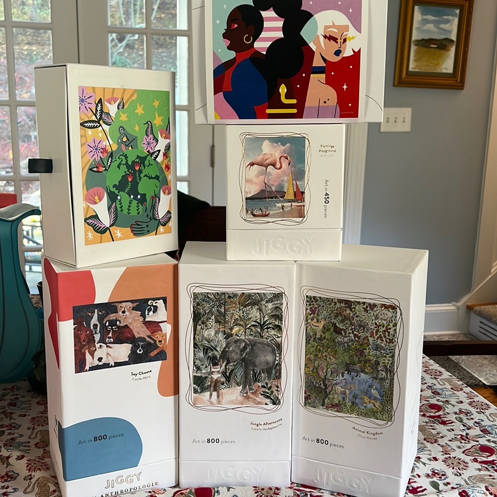 Set of 6 GORGEOUS Jiggy Puzzles (as seen on Shark Tank!).